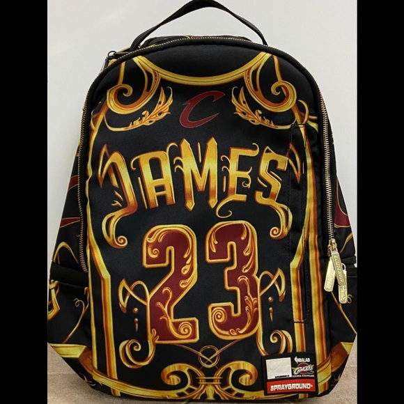 lebron james sprayground